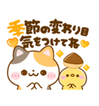ねこねこにゃんこ♡秋（個別スタンプ：34）