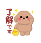 かわいいトイプードル❤️スタンプ（個別スタンプ：10）