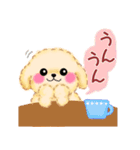 かわいいトイプードル❤️スタンプ（個別スタンプ：12）