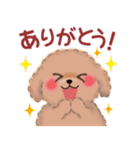 かわいいトイプードル❤️スタンプ（個別スタンプ：18）