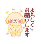 かわいいトイプードル❤️スタンプ（個別スタンプ：20）
