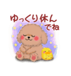 かわいいトイプードル❤️スタンプ（個別スタンプ：38）