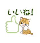 ころころ子猫 大きなお返事（個別スタンプ：3）