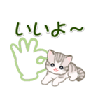 ころころ子猫 大きなお返事（個別スタンプ：4）