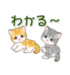 ころころ子猫 大きなお返事（個別スタンプ：14）