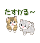 ころころ子猫 大きなお返事（個別スタンプ：15）