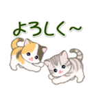 ころころ子猫 大きなお返事（個別スタンプ：17）