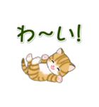 ころころ子猫 大きなお返事（個別スタンプ：21）