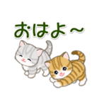 ころころ子猫 大きなお返事（個別スタンプ：37）
