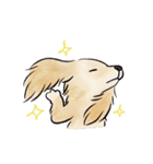 ゆかいな動物たち with LINEスタンプの日（個別スタンプ：17）