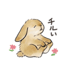ゆかいな動物たち with LINEスタンプの日（個別スタンプ：33）