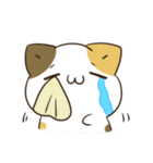 毎日五月病なねこたち11（個別スタンプ：16）