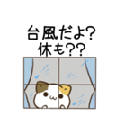 毎日五月病なねこたち11（個別スタンプ：34）