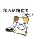 毎日五月病なねこたち11（個別スタンプ：36）