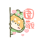 飛び出す！まるもこ豆柴☆赤柴【台湾】（個別スタンプ：9）