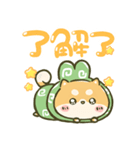 飛び出す！まるもこ豆柴☆赤柴【台湾】（個別スタンプ：10）