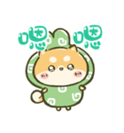 飛び出す！まるもこ豆柴☆赤柴【台湾】（個別スタンプ：12）