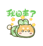 飛び出す！まるもこ豆柴☆赤柴【台湾】（個別スタンプ：17）