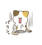 動く！毎日五月病なねこたち7（個別スタンプ：16）