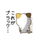 動く！毎日五月病なねこたち7（個別スタンプ：24）