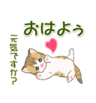 よちよち子猫の毎日（個別スタンプ：1）