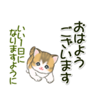 よちよち子猫の毎日（個別スタンプ：2）