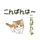よちよち子猫の毎日（個別スタンプ：4）