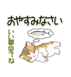 よちよち子猫の毎日（個別スタンプ：6）