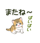 よちよち子猫の毎日（個別スタンプ：7）