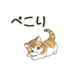 よちよち子猫の毎日（個別スタンプ：8）