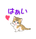 よちよち子猫の毎日（個別スタンプ：9）