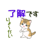 よちよち子猫の毎日（個別スタンプ：10）
