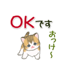 よちよち子猫の毎日（個別スタンプ：11）