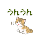 よちよち子猫の毎日（個別スタンプ：12）