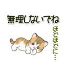 よちよち子猫の毎日（個別スタンプ：14）