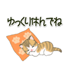 よちよち子猫の毎日（個別スタンプ：15）