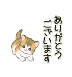よちよち子猫の毎日（個別スタンプ：18）