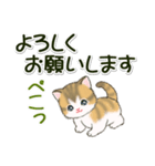 よちよち子猫の毎日（個別スタンプ：19）