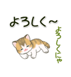よちよち子猫の毎日（個別スタンプ：20）