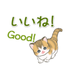 よちよち子猫の毎日（個別スタンプ：21）