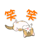 よちよち子猫の毎日（個別スタンプ：23）