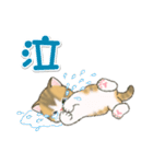 よちよち子猫の毎日（個別スタンプ：24）