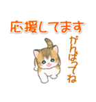 よちよち子猫の毎日（個別スタンプ：26）