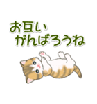 よちよち子猫の毎日（個別スタンプ：27）
