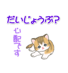 よちよち子猫の毎日（個別スタンプ：28）