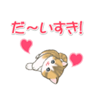 よちよち子猫の毎日（個別スタンプ：29）