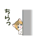 よちよち子猫の毎日（個別スタンプ：31）