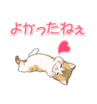 よちよち子猫の毎日（個別スタンプ：35）