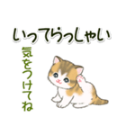 よちよち子猫の毎日（個別スタンプ：37）