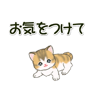 よちよち子猫の毎日（個別スタンプ：39）